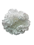 PEONIA GRANDE BLANCA