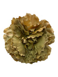 PEONIA GRANDE DORADA