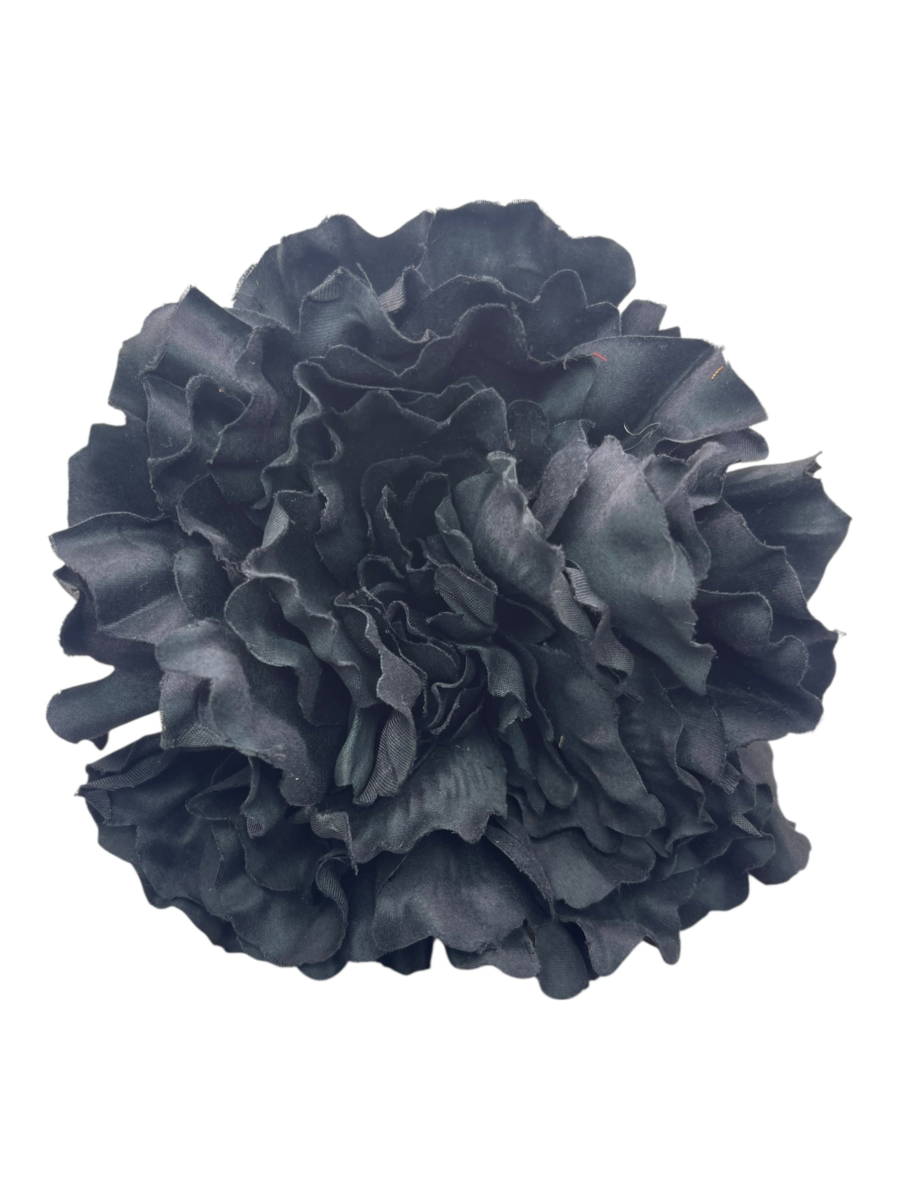 PEONIA GRANDE NEGRA