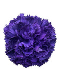 RAMILLETE CLAVEL MORADO