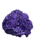 RAMILLETE CLAVEL TINTADO MORADO