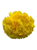 RAMILLETE CLAVELES NIÑA